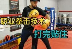 打拳架在线观看,实时打拳架对决，激情四溢的视觉盛宴