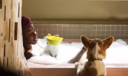 小狗情人爆料视频播放大全