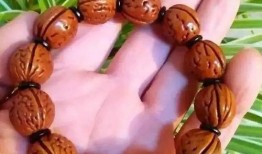 吃瓜网红18籽手串,揭秘吃瓜群众的潮流新宠