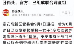 山东菏泽爆料新闻事件视频,视频揭露惊人真相
