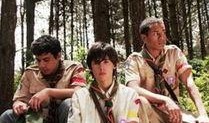 囚犯 在线观看,揭秘监狱生活背后的真实故事