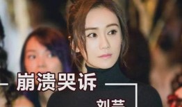 扒爷爆料刘芸视频,刘芸视频事件背后真相曝光