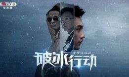 导演叛变爆料视频大全,视频大全背后的惊人内幕