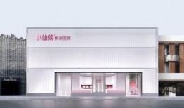 小仙炖鲜炖燕窝爆料视频,独家爆料带你领略高端滋补美食的魅力