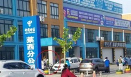 青岛中学家长爆料视频,揭秘校园真实情况