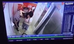 参哥出品爆料视频播放,揭秘参哥出品爆款视频背后的制作秘籍