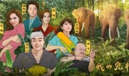 电视剧大象在线观看,揭秘网络剧背后的精彩故事