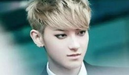 爆料娱乐圈侯明昊,揭秘明星背后的故事