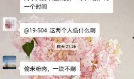 全网第一拍爆料社区视频,揭秘热门视频背后的故事