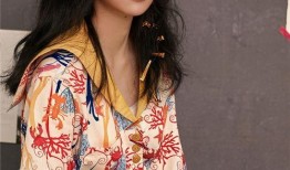 陈晨最新爆料视频大全集,揭秘幕后真相，带你走进事件核心