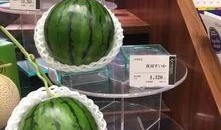 吃瓜退网的网红叫什么,揭秘背后真相与影响