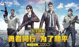 和平精英小熊猫爆料视频,揭秘游戏新动态与精彩内容