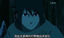 佐助首播爆料视频下载安装,下载安装全过程深度解析