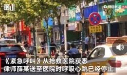 港口大排档爆料事件视频,真相究竟如何？