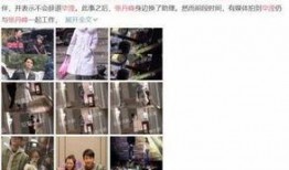天涯论坛娱乐圈爆料视频,天涯论坛爆料视频深度解析