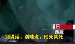 细思极恐的爆料视频大全