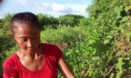 木瓜姐在线观看,揭秘网络红人的魅力与影响力